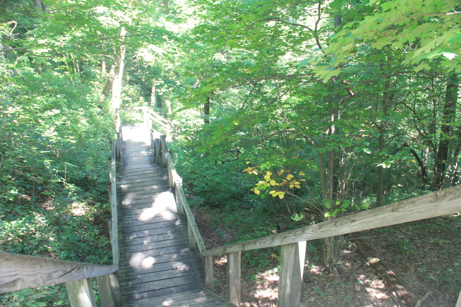 3 Dune Challenge Hike 